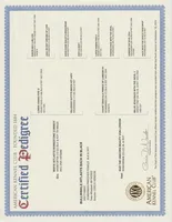 processed/9b95081a-2823-4fd5-9ef0-c948c5ea7924/listing/95108242-438b-450b-913a-c8c4a6b235e1/4c2cbaa7-b14d-4b7a-9048-8bc2742fa56a