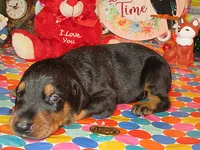 processed/9b95081a-2823-4fd5-9ef0-c948c5ea7924/listing/9ea5cc10-be40-472d-b20a-e77d866ea0bb/98cb314b-74ae-4bb7-8625-65320f4c8386