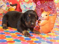 processed/9b95081a-2823-4fd5-9ef0-c948c5ea7924/listing/cce2fcf9-3fc4-467d-9077-69d9f191901c/1c6141a0-3240-4983-96c4-d6b58e55b941