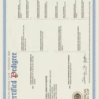 DRACULA, a male Doberman Pinscher for sale in London, KY – Photo 5 of 9