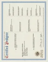 processed/9b95081a-2823-4fd5-9ef0-c948c5ea7924/listing/e40f7318-bc19-4d2f-a28f-23c556cf8a1c/486a8cd8-ce1c-4ad4-895a-ce7946614c64