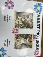 Lucy, a female French Bulldog for sale in Queen Creek, AZ – 4 of 6