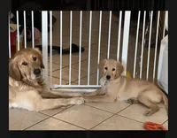 processed/9b9f5e1e-4777-458a-98d5-6903cfd004bd/facility/0da11618-932e-440f-b075-e0bc31e75967