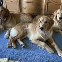 processed/9b9f5e1e-4777-458a-98d5-6903cfd004bd/facility/4b321cb6-7e9c-439b-b8cd-9ced911592f3