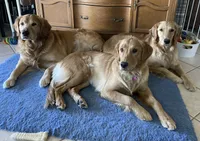 processed/9b9f5e1e-4777-458a-98d5-6903cfd004bd/facility/4b321cb6-7e9c-439b-b8cd-9ced911592f3