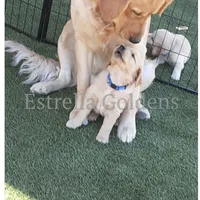 processed/9b9f5e1e-4777-458a-98d5-6903cfd004bd/facility/666abb49-9165-464c-8701-e88af690e8e1