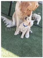 processed/9b9f5e1e-4777-458a-98d5-6903cfd004bd/facility/666abb49-9165-464c-8701-e88af690e8e1