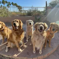 processed/9b9f5e1e-4777-458a-98d5-6903cfd004bd/facility/7034a089-e57c-4285-b081-f98f3af6ecb4