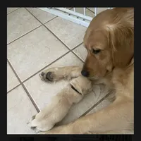 processed/9b9f5e1e-4777-458a-98d5-6903cfd004bd/facility/8b03862e-47b8-4845-96e3-849f2a529691