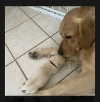 processed/9b9f5e1e-4777-458a-98d5-6903cfd004bd/facility/8b03862e-47b8-4845-96e3-849f2a529691