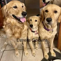 processed/9b9f5e1e-4777-458a-98d5-6903cfd004bd/facility/b8e4e4ef-1ebe-4d43-8337-4612ab497520