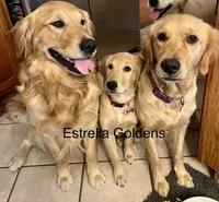 processed/9b9f5e1e-4777-458a-98d5-6903cfd004bd/facility/b8e4e4ef-1ebe-4d43-8337-4612ab497520