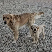 processed/9b9f5e1e-4777-458a-98d5-6903cfd004bd/facility/cd930d96-9e13-4fce-8625-398317fb7da6