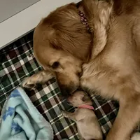 processed/9b9f5e1e-4777-458a-98d5-6903cfd004bd/facility/eaa1cb86-d464-4e90-b3f5-61a6620c23ec