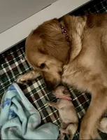 processed/9b9f5e1e-4777-458a-98d5-6903cfd004bd/facility/eaa1cb86-d464-4e90-b3f5-61a6620c23ec