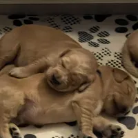 processed/9b9f5e1e-4777-458a-98d5-6903cfd004bd/facility/ee3ee715-019f-4fb1-bb7e-ba83764cb9aa