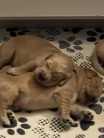 processed/9b9f5e1e-4777-458a-98d5-6903cfd004bd/facility/ee3ee715-019f-4fb1-bb7e-ba83764cb9aa