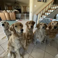 processed/9b9f5e1e-4777-458a-98d5-6903cfd004bd/facility/f48a1a50-b33b-4c15-9a45-d0b16963ec52