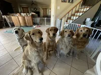 processed/9b9f5e1e-4777-458a-98d5-6903cfd004bd/facility/f48a1a50-b33b-4c15-9a45-d0b16963ec52