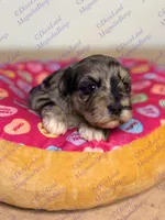 processed/9ba4c9d6-842b-4346-be9c-09fff120155b/listing/012afa2c-6fdd-42b0-9987-bd8b5e4aa252/5a0a5924-21cf-4f4d-b4e6-b080c07f854e