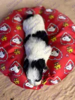 processed/9ba4c9d6-842b-4346-be9c-09fff120155b/listing/243f488f-84c2-404f-a5ac-c93416b9fb80/33b8d756-fdbd-4e20-a281-42ed99bf6200