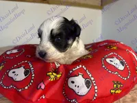 processed/9ba4c9d6-842b-4346-be9c-09fff120155b/listing/243f488f-84c2-404f-a5ac-c93416b9fb80/3e793bf0-a08b-4852-b851-bbd22705bde1