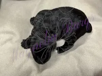 Rizzo, a female Miniature Schnauzer for sale in Marrero, LA – 7 of 10