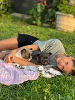 processed/9bac96ca-9df1-435a-a9e4-d6492c7aa4fe/facility/97de48e3-1725-466a-91d1-b827b1771def