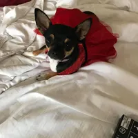 processed/9badcc3a-5f17-4bc3-b592-591a5c14007b/facility/5cc6d58c-8521-4db6-9cbe-4f30b2a01549