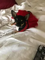 processed/9badcc3a-5f17-4bc3-b592-591a5c14007b/facility/5cc6d58c-8521-4db6-9cbe-4f30b2a01549