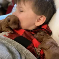 processed/9badcc3a-5f17-4bc3-b592-591a5c14007b/facility/88beabc2-8939-4038-99de-c41f8833689d