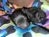 processed/9badcc3a-5f17-4bc3-b592-591a5c14007b/listing/06ebb811-5082-44f0-9064-429b2bf97088/9eb4c4be-3fe2-49c5-bf59-190e7782aa2c