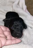 processed/9badcc3a-5f17-4bc3-b592-591a5c14007b/listing/06ebb811-5082-44f0-9064-429b2bf97088/ab73fa35-1d85-4d6d-9362-2944e668bda9