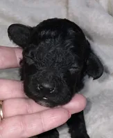 processed/9badcc3a-5f17-4bc3-b592-591a5c14007b/listing/06ebb811-5082-44f0-9064-429b2bf97088/afc33134-4cfb-417d-adac-00cf96852830