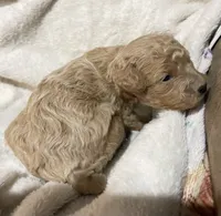 processed/9badcc3a-5f17-4bc3-b592-591a5c14007b/listing/708c83ba-5c61-440e-9aa2-23f972dc1940/1589c008-735c-4ac9-8d92-7e3b5c47ac1c