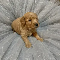 processed/9badcc3a-5f17-4bc3-b592-591a5c14007b/listing/708c83ba-5c61-440e-9aa2-23f972dc1940/4d9e08f8-74ee-4e0e-8a9e-2dd0de9b83ef