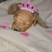 processed/9badcc3a-5f17-4bc3-b592-591a5c14007b/listing/708c83ba-5c61-440e-9aa2-23f972dc1940/7874ba1f-e1d1-4489-b67a-7c000760185c