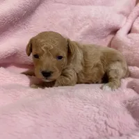 processed/9badcc3a-5f17-4bc3-b592-591a5c14007b/listing/708c83ba-5c61-440e-9aa2-23f972dc1940/ab142352-9554-44cc-b3d2-08c35b2d1b45