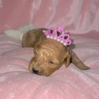 processed/9badcc3a-5f17-4bc3-b592-591a5c14007b/listing/708c83ba-5c61-440e-9aa2-23f972dc1940/cf934051-1799-46ba-8143-3d8daaa95e6e