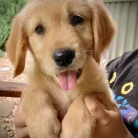 processed/9bb2a48b-cd85-4db4-b1e6-e04fa11b43db/facility/2cde151c-3ed5-4e95-a547-f049222946fc