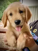 processed/9bb2a48b-cd85-4db4-b1e6-e04fa11b43db/facility/2cde151c-3ed5-4e95-a547-f049222946fc