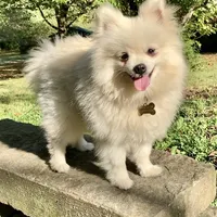 processed/9bb2a48b-cd85-4db4-b1e6-e04fa11b43db/facility/2e0e66ee-0145-47e5-a4b3-5be815f8c318