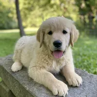 processed/9bb2a48b-cd85-4db4-b1e6-e04fa11b43db/facility/45148c56-0185-410a-af56-9e934e75c325