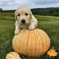 processed/9bb2a48b-cd85-4db4-b1e6-e04fa11b43db/facility/58b94e33-224f-4803-bc63-112a1c13fdef