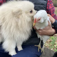 processed/9bb2a48b-cd85-4db4-b1e6-e04fa11b43db/facility/8029f2c1-5200-441e-87a9-c674d62502da