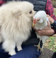 processed/9bb2a48b-cd85-4db4-b1e6-e04fa11b43db/facility/8029f2c1-5200-441e-87a9-c674d62502da