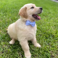 processed/9bb2a48b-cd85-4db4-b1e6-e04fa11b43db/facility/c7d4739e-e14a-4a04-8e5e-66a5e1cadd1f