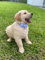 processed/9bb2a48b-cd85-4db4-b1e6-e04fa11b43db/facility/c7d4739e-e14a-4a04-8e5e-66a5e1cadd1f