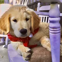 processed/9bb2a48b-cd85-4db4-b1e6-e04fa11b43db/facility/ffc34c93-2930-4a2a-8ebe-e481a6da654b