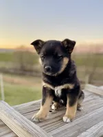 processed/9bb2a48b-cd85-4db4-b1e6-e04fa11b43db/listing/45c1c805-cd72-4d85-b98c-18ccd450b18c/70b9e295-4e8f-4d76-a5fd-616bed8aa45a